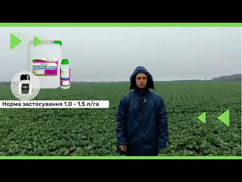 Весняна погода - один з найнепередбачуваніших факторів