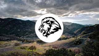 I Didn&#39;t Survive (Lion Mashup)