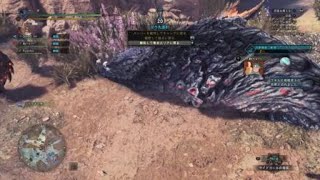 宇宙制服スーパーエイトの試し振りをしようとしたら嵌め大会になった件（MHWI)