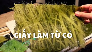 LÀM GIẤY TỪ CỎ ... VÀ IN LÊN NÓ