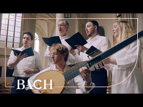 Bach - Chorale Nun danket alle Gott BWV 386 | Nederlandse Bachvereniging