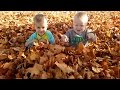 FIRST FALLEN LEAVES! 