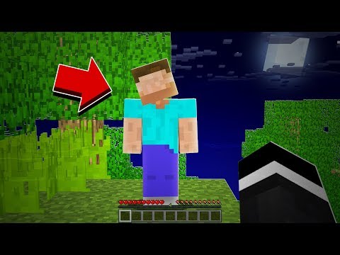ATTACKED BY FACELESS STEVE IN MINECRAFT! (Haunted Minecraft World)