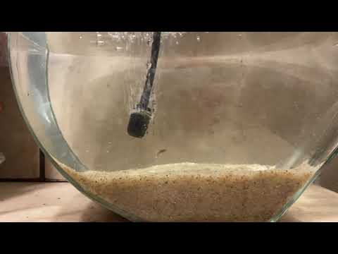 Culturing Scuds (?) Let’s Give it a Try!!