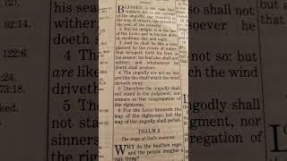 Download lagu All we need is in God! Palms 1 mp3