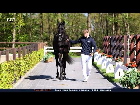 Amaretto MHD; Conformation and hard ground
