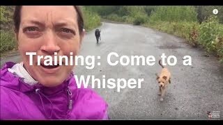 How to Train Your Dog to Come to a Whisper (pt 1 of 3)  | Grisha Stewart (CC)