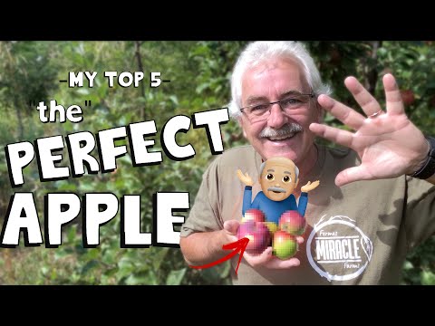 5 APPLES YOU HAVE TO TRY! (ORGANICALLY GROWN)