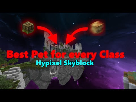 The Best PET For Every Dungeon Class in Hypixel Skyblock