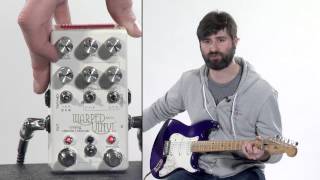 Chase Bliss Audio Warped Vinyl MKII - What To Know & Where Chase Bliss Audio Warped Vinyl MKII - What To Know & Where