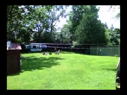 Real estate for sale in Waterdown Ontario - MLS# H3139397