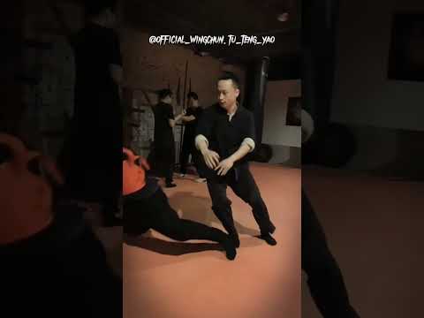 From Wooden Dummy to Real Fighting - Master Tu Tengyao