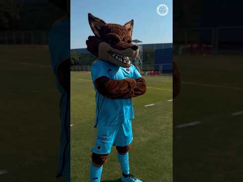 Very AESTHETIC Raposão with the new uniform! 🦊 #raposão #cruzeiro