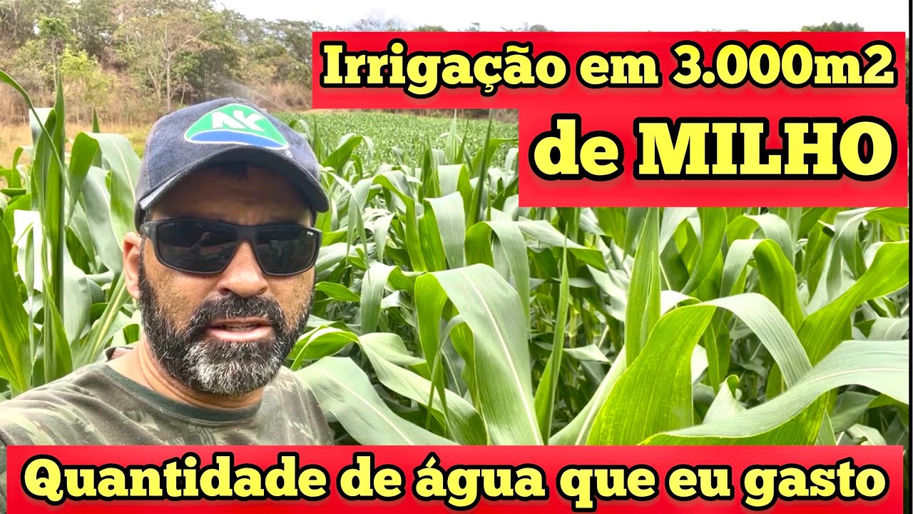 QUANTIDADE DE ÁGUA QUE EU GASTO PARA IRRIGAR 300 m2 de MILHO