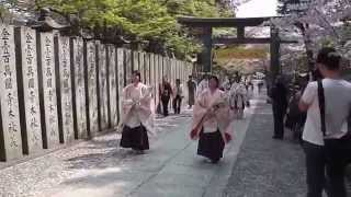 preview picture of video '金刀比羅宮・桜花祭【香川県仲多度郡琴平町】（平成26年）'