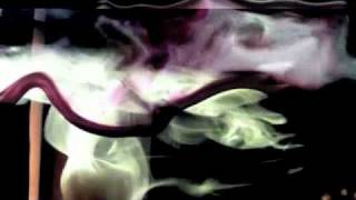 Avey Tare - Ghost of Books