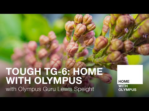Tough TG-6 at Home with Olympus Guru Lewis Speight
