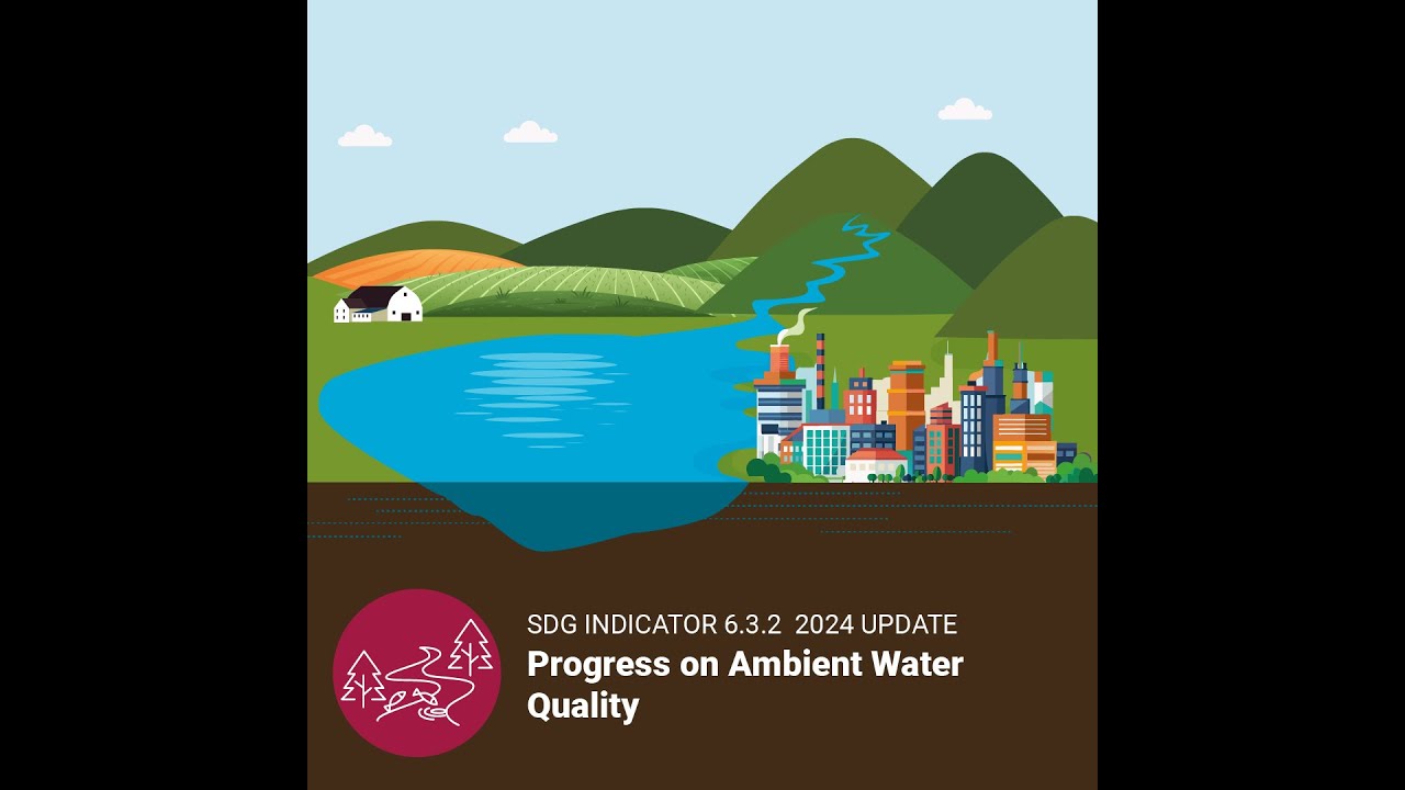 SDG 6: Ambient water quality