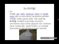 Hava Kara Ve Su Kirliliği 5 Sınıf Fen Bilimleri Ödevi