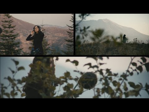 Patricia Wolf - Woodland Encounter (Official Music Video)