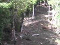 Mauritius Hunting 2013