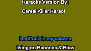 CKK-029 - Ween - Bananas And Blow (Karaoke)