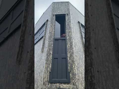 Shadow Hunter Blind Windows