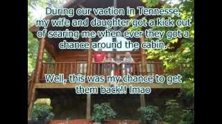 There&#39;s A Bear In The Woods!!!!!