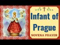 Novena To The Infant Of Prague