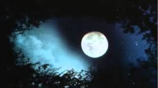 Dave Edmunds We were both wrong