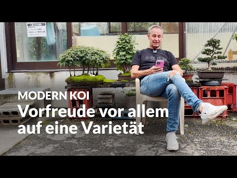 Which breeding result surprised Makoto? | Modern Koi Blog #7704