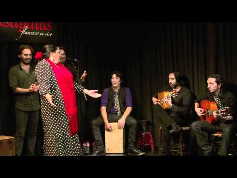 CASA PATAS 55 MANUELA HEREDIA