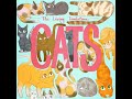 1 HOUR Music Video Cats