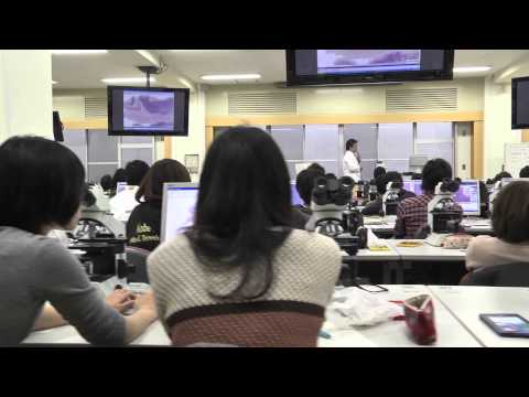 Kobe University School of Medicine, Faculty of Medicine 2013