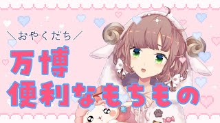 【万博配信②】持っていってよかったもの・いらなかったもの【にじさんじ/飛鳥ひな】