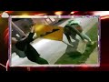 America S Funniest Home Videos Honorable Mentions Season 33 Episode 6 2022