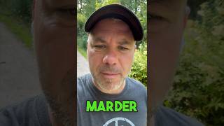 Hattet Ihr schon Besuch vom Marder? #marderschutz