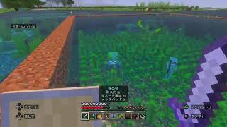 まったりマイクラ配信