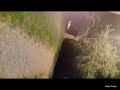 THE BRAVE ONE S WW515 UI FULL MOVIE