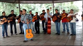 preview picture of video 'Volare-Rondalla Rapsodia Musical del Instituto Tecnologico de Apizaco'