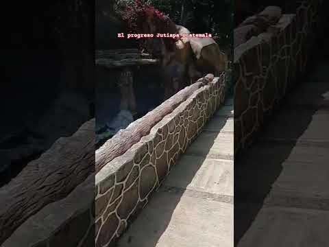 turicentro entrada del progreso Jutiapa Guatemala #turismo #paisajesextremos #viajes #lugares