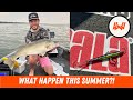 Video Thumbnail for Episode 101 // The 2025 Summer Recap