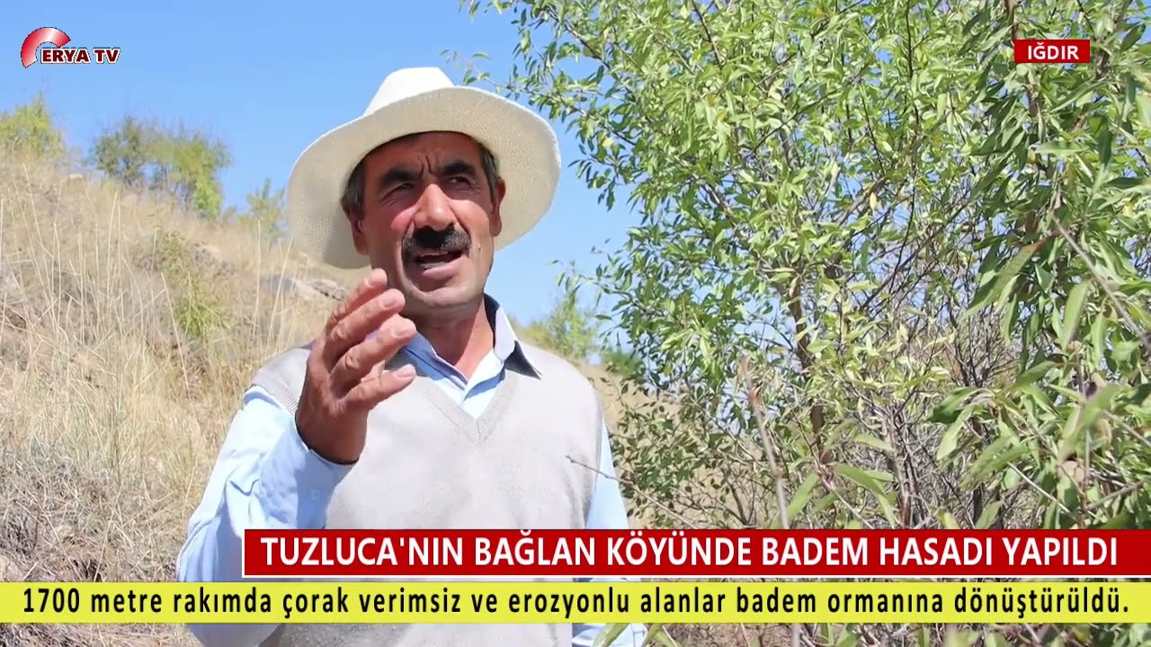 TUZLUCA BADEM ORMANI