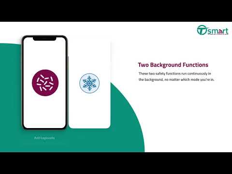 Tesla Model T Smart Thermostat Immersion Heater