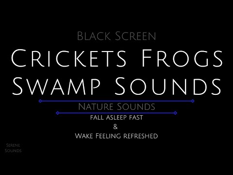 10 Hours - Swamp Sounds - Crickets and Frogs - Cricket Sounds - Cricket Sounds for Sleeping - Frogs