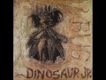 Dinosaur Jr. - Don't (Album Version)
