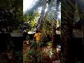 Bheekaranaaa Bheekaran Kodum Bheekaran