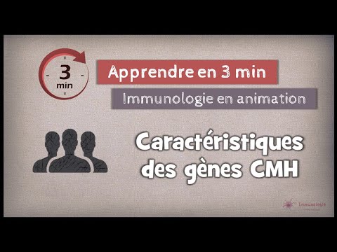 Characteristics of MCH genes