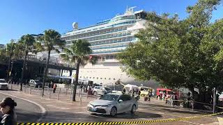 Sydney VIVID show 2025 番外編(？)。　航海すると後悔しないで下さいねぇ〜‼️😊