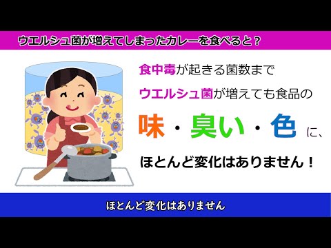 食中毒啓発ファイル　Ｆｉｌｅ3 ウエルシュ菌食中毒